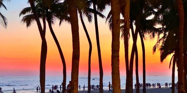 china travel guidelines,sanya,Coconut Dream Corridor.jpg