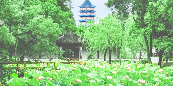 Suzhou tour from Shanghai,How do I get from Shanghai to Suzhou,china travel,1.jpg